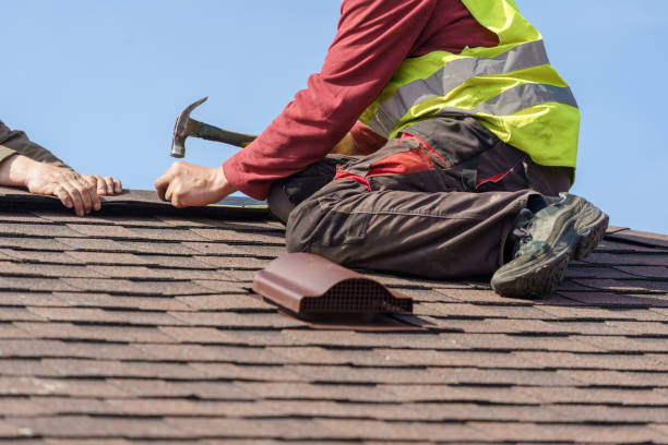 Best Roof Waterproofing Services  in Winona, MN
