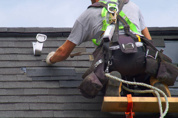 Best Roof Repair Services  in Winona, MN