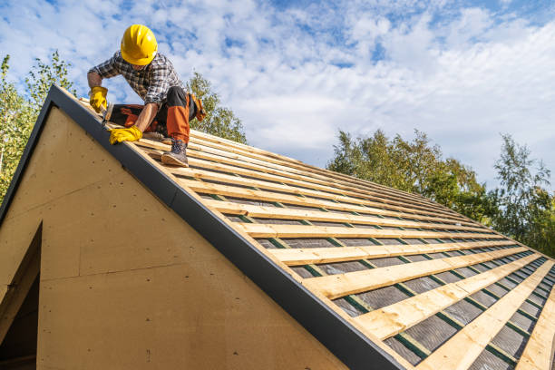 Best Roof Leak Repair  in Winona, MN