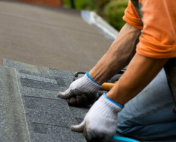 Best Metal Roofing Contractor  in Winona, MN
