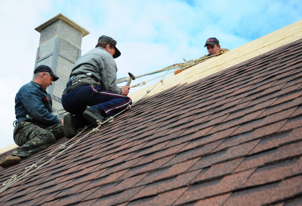 Quick and Trustworthy Emergency Roof Repair Services in Winona, MN